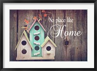 Framed No Place Like Home Bird Houses