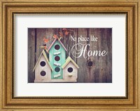 Framed No Place Like Home Bird Houses