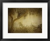 Framed Olive Tree