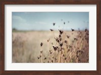 Framed Falling Queen Annes Lace I Crop