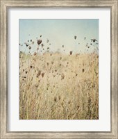 Framed Falling Queen Annes Lace II Crop