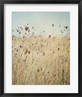 Framed Falling Queen Annes Lace II Crop