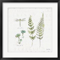 In the Forest VI Framed Print