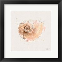 Shell Collector II Framed Print