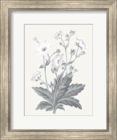 Framed Neutral Botanical VI