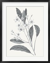 Framed Neutral Botanical V