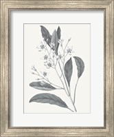 Framed Neutral Botanical V