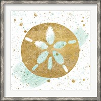 Framed Silver Sea Life Aqua Sanddollar