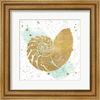 Framed Silver Sea Life Aqua Shell