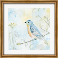 Framed Sketched Songbird II