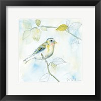 Framed Sketched Songbird I