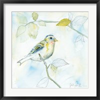 Sketched Songbird I Framed Print