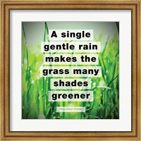 Framed Single Gentle Rain - Henry Thoreau Quote (Vibrant)