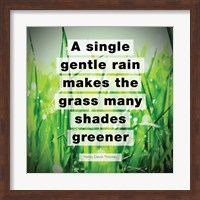 Framed Single Gentle Rain - Henry Thoreau Quote (Vibrant)