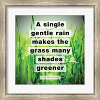 Framed Single Gentle Rain - Henry Thoreau Quote (Vibrant)