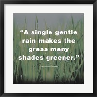 Framed Single Gentle Rain - Henry Thoreau Quote (Dark)