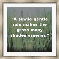 Framed Single Gentle Rain - Henry Thoreau Quote (Dark)