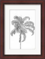 Framed Swaying Palm III