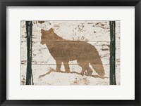 Coyote in Reverse Framed Print