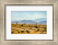 Framed Utah Desert