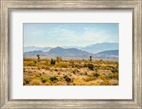 Framed Utah Desert