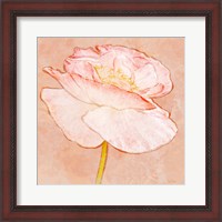 Framed Sweet Peach Poppy I