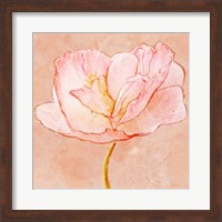 Framed Sweet Peach Poppy III