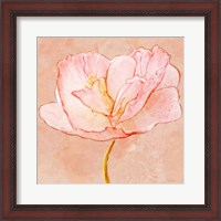 Framed Sweet Peach Poppy III