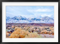 Framed High Desert Vista I
