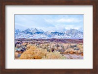 Framed High Desert Vista I