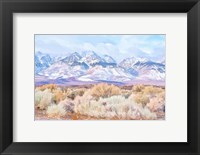 Framed High Desert Vista III