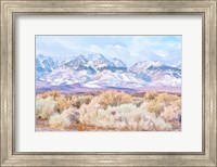 Framed High Desert Vista III