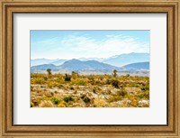 Framed Utah Desert II