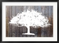 Framed White Tree on Wood