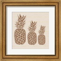 Framed Three Pineapples