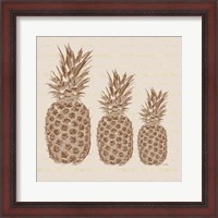Framed Three Pineapples