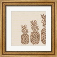 Framed Pineapples - Right Three