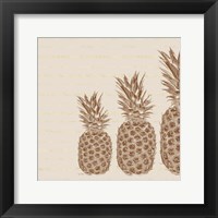 Framed Pineapples - Right Three