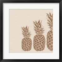 Pineapples - Right Three Framed Print