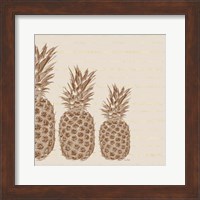 Framed Pineapples - Left Three