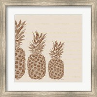 Framed Pineapples - Left Three