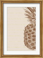 Framed Right Side Pineapple