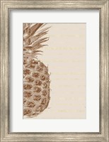 Framed Left Side Pineapple