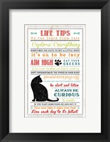 Framed Life Tips - Cats