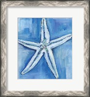 Framed Starfish Blues