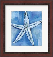 Framed Starfish Blues