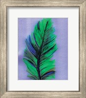 Framed Feather