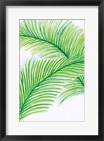 Framed Palm Leaves