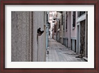 Framed Dantel Street Cat