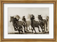 Framed Horse